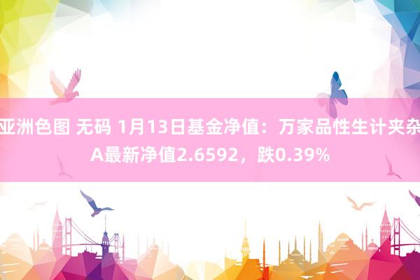 亚洲色图 无码 1月13日基金净值：万家品性生计夹杂A最新净值2.6592，跌0.39%