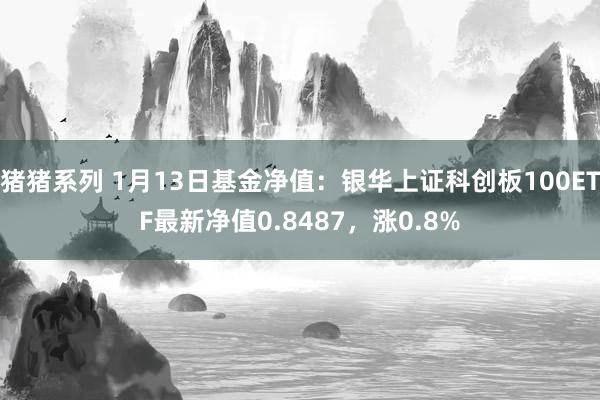 猪猪系列 1月13日基金净值：银华上证科创板100ETF最新净值0.8487，涨0.8%