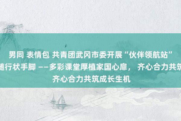男同 表情包 共青团武冈市委开展“伙伴领航站”青少年追随行状手脚 ——多彩课堂厚植家国心扉， 齐心合力共筑成长生机