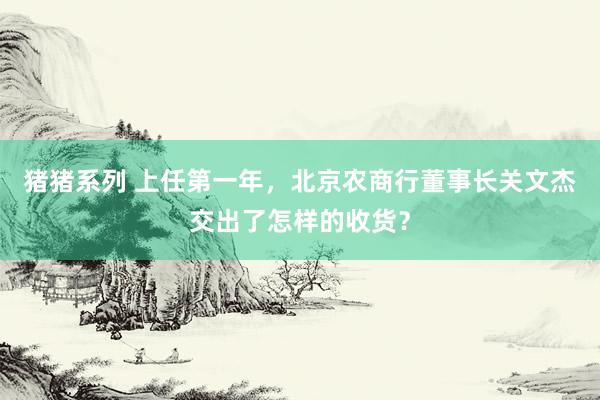 猪猪系列 上任第一年，北京农商行董事长关文杰交出了怎样的收货？