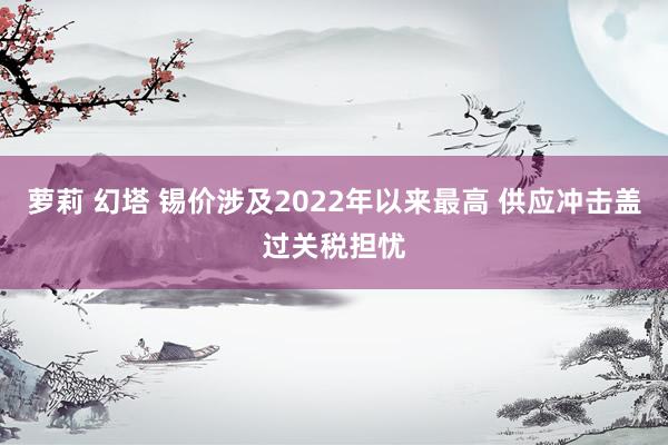 萝莉 幻塔 锡价涉及2022年以来最高 供应冲击盖过关税担忧