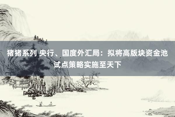 猪猪系列 央行、国度外汇局：拟将高版块资金池试点策略实施至天下