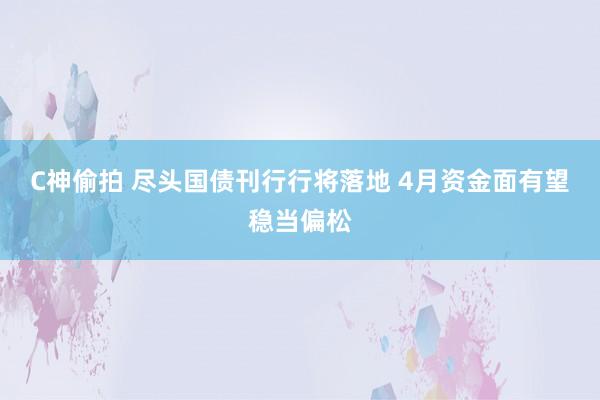 C神偷拍 尽头国债刊行行将落地 4月资金面有望稳当偏松