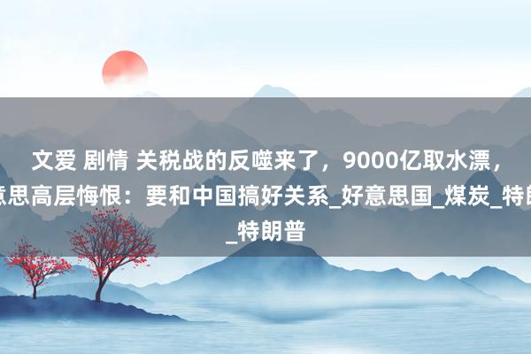 文爱 剧情 关税战的反噬来了，9000亿取水漂，好意思高层悔恨：要和中国搞好关系_好意思国_煤炭_特朗普