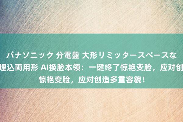 パナソニック 分電盤 大形リミッタースペースなし 露出・半埋込両用形 AI换脸本领：一键终了惊艳变脸，应对创造多重容貌！