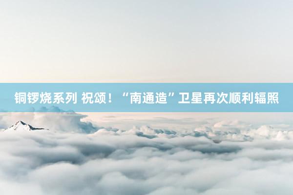 铜锣烧系列 祝颂！“南通造”卫星再次顺利辐照