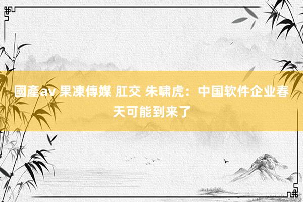 國產av 果凍傳媒 肛交 朱啸虎：中国软件企业春天可能到来了