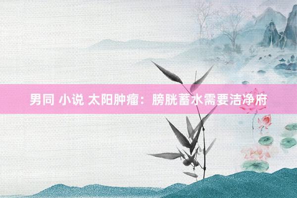男同 小说 太阳肿瘤：膀胱蓄水需要洁净府
