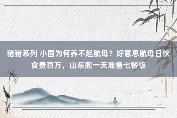 猪猪系列 小国为何养不起航母？好意思航母日伙食费百万，山东舰一天准备七餐饭
