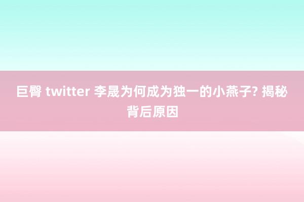 巨臀 twitter 李晟为何成为独一的小燕子? 揭秘背后原因