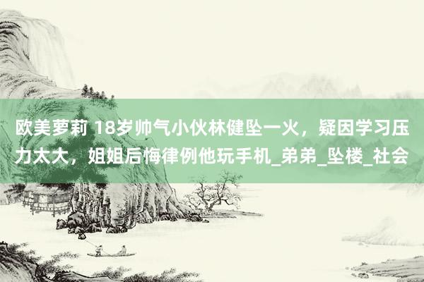 欧美萝莉 18岁帅气小伙林健坠一火，疑因学习压力太大，姐姐后悔律例他玩手机_弟弟_坠楼_社会