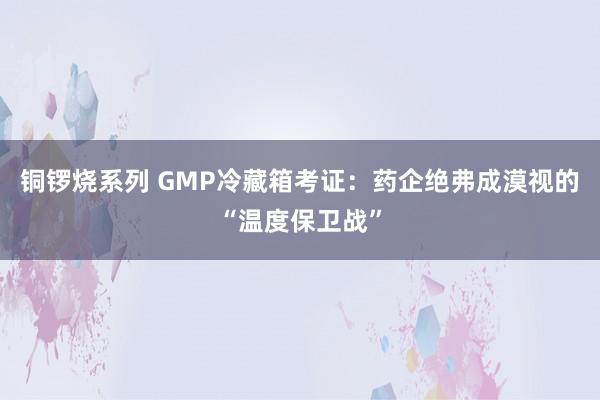 铜锣烧系列 GMP冷藏箱考证：药企绝弗成漠视的“温度保卫战”