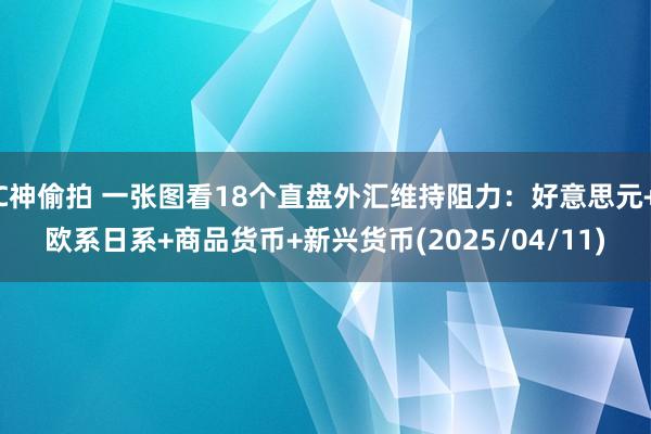 C神偷拍 一张图看18个直盘外汇维持阻力：好意思元+欧系日系+商品货币+新兴货币(2025/04/11)