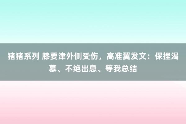 猪猪系列 膝要津外侧受伤，高准翼发文：保捏渴慕、不绝出息、等我总结
