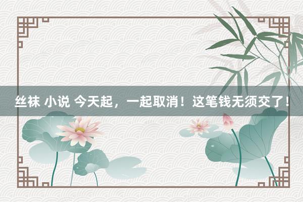丝袜 小说 今天起，一起取消！这笔钱无须交了！