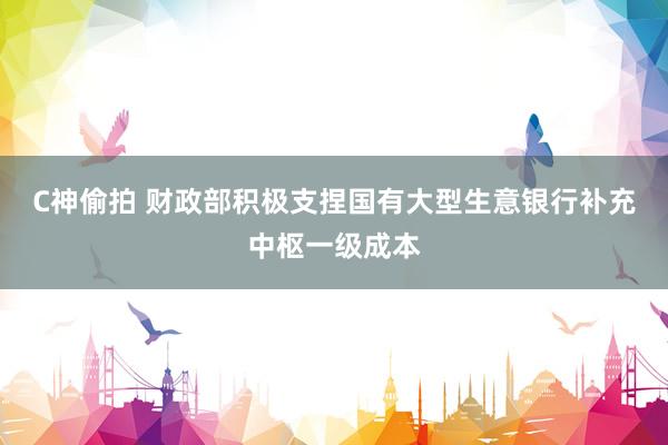 C神偷拍 财政部积极支捏国有大型生意银行补充中枢一级成本