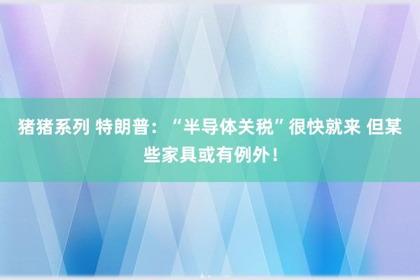 猪猪系列 特朗普：“半导体关税”很快就来 但某些家具或有例外！