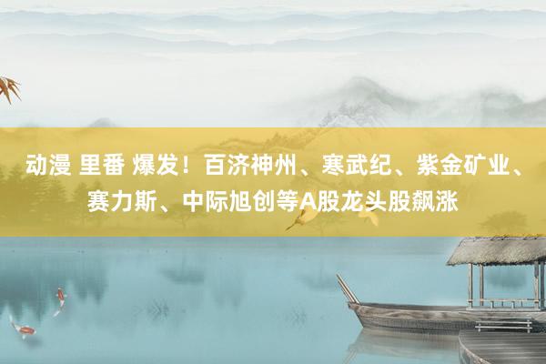 动漫 里番 爆发！百济神州、寒武纪、紫金矿业、赛力斯、中际旭创等A股龙头股飙涨