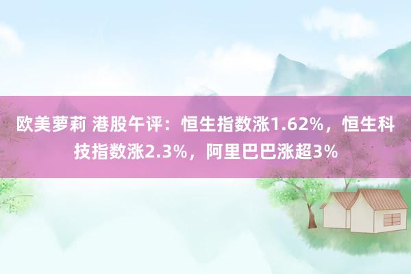 欧美萝莉 港股午评：恒生指数涨1.62%，恒生科技指数涨2.3%，阿里巴巴涨超3%