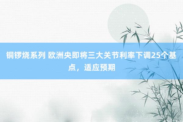 铜锣烧系列 欧洲央即将三大关节利率下调25个基点，适应预期
