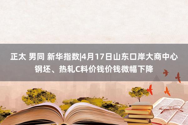 正太 男同 新华指数|4月17日山东口岸大商中心钢坯、热轧C料价钱价钱微幅下降