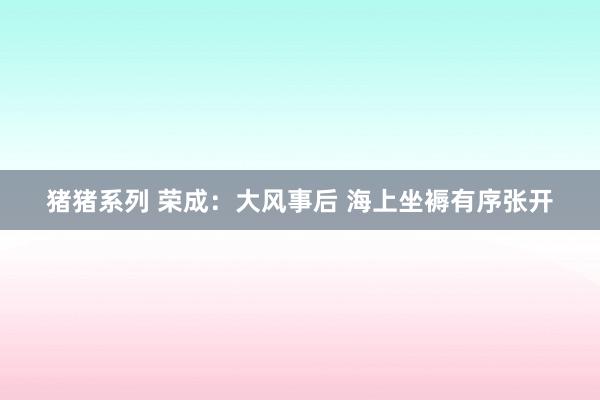猪猪系列 荣成：大风事后 海上坐褥有序张开