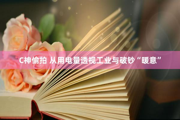 C神偷拍 从用电量透视工业与破钞“暖意”