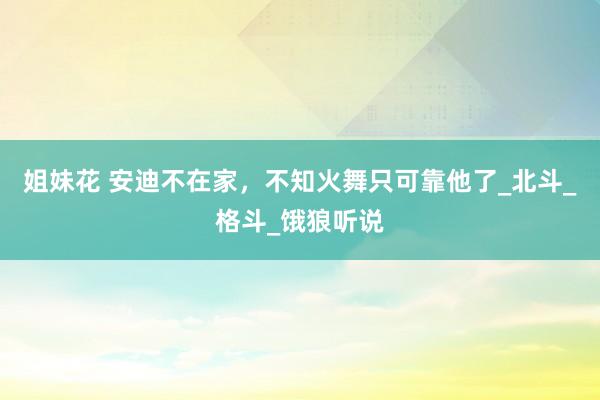 姐妹花 安迪不在家，不知火舞只可靠他了_北斗_格斗_饿狼听说
