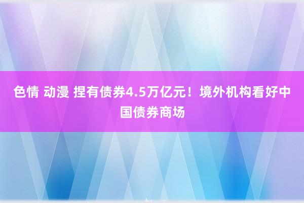 色情 动漫 捏有债券4.5万亿元！境外机构看好中国债券商场
