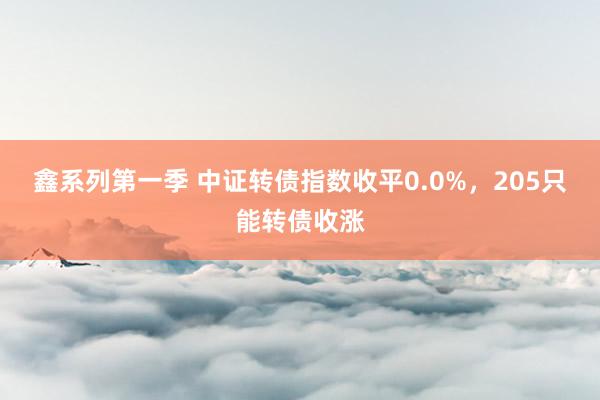 鑫系列第一季 中证转债指数收平0.0%，205只能转债收涨