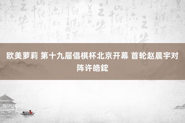欧美萝莉 第十九届倡棋杯北京开幕 首轮赵晨宇对阵许皓鋐