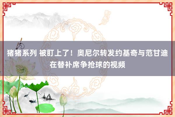 猪猪系列 被盯上了！奥尼尔转发约基奇与范甘迪在替补席争抢球的视频