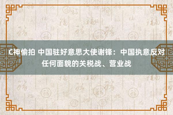 C神偷拍 中国驻好意思大使谢锋：中国执意反对任何面貌的关税战、营业战