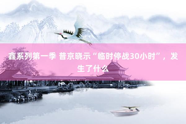 鑫系列第一季 普京晓示“临时停战30小时”，发生了什么