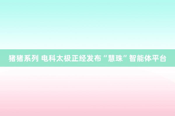 猪猪系列 电科太极正经发布“慧珠”智能体平台