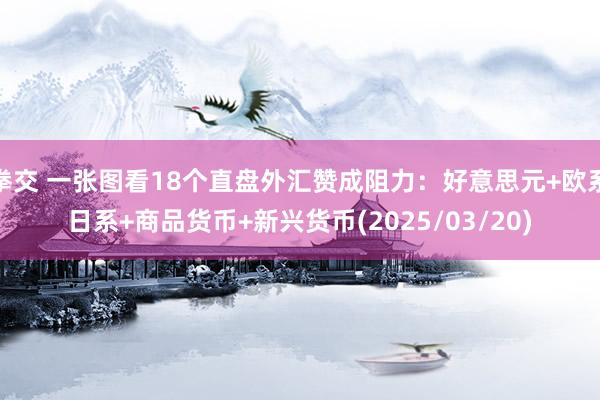拳交 一张图看18个直盘外汇赞成阻力：好意思元+欧系日系+商品货币+新兴货币(2025/03/20)