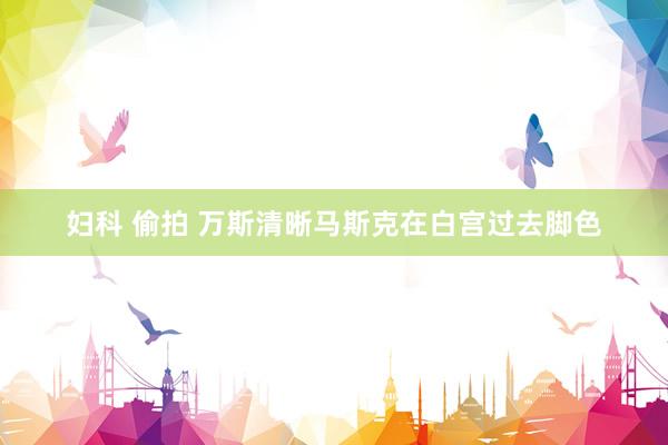 妇科 偷拍 万斯清晰马斯克在白宫过去脚色
