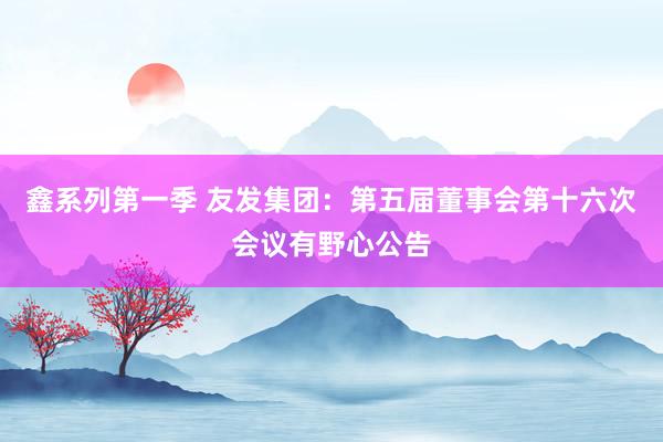鑫系列第一季 友发集团：第五届董事会第十六次会议有野心公告