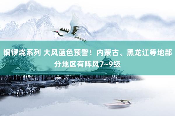 铜锣烧系列 大风蓝色预警！内蒙古、黑龙江等地部分地区有阵风7~9级