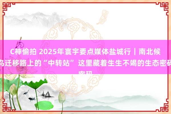 C神偷拍 2025年寰宇要点媒体盐城行｜南北候鸟迁移路上的“中转站” 这里藏着生生不竭的生态密码