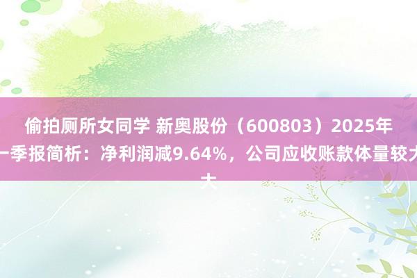 偷拍厕所女同学 新奥股份（600803）2025年一季报简析：净利润减9.64%，公司应收账款体量较大