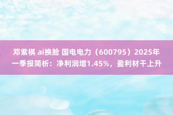 邓紫棋 ai换脸 国电电力（600795）2025年一季报简析：净利润增1.45%，盈利材干上升