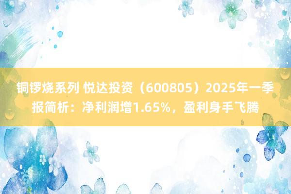 铜锣烧系列 悦达投资（600805）2025年一季报简析：净利润增1.65%，盈利身手飞腾