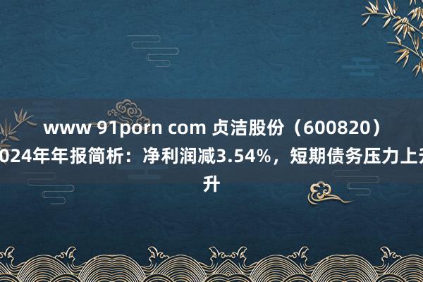 www 91porn com 贞洁股份（600820）2024年年报简析：净利润减3.54%，短期债务压力上升
