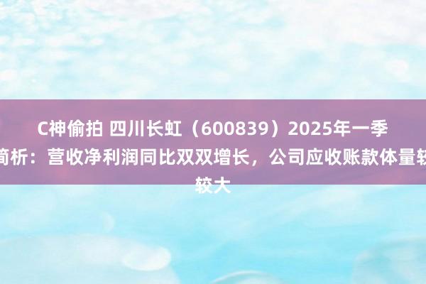 C神偷拍 四川长虹（600839）2025年一季报简析：营收净利润同比双双增长，公司应收账款体量较大