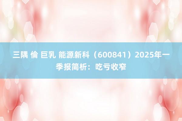 三隅 倫 巨乳 能源新科（600841）2025年一季报简析：吃亏收窄