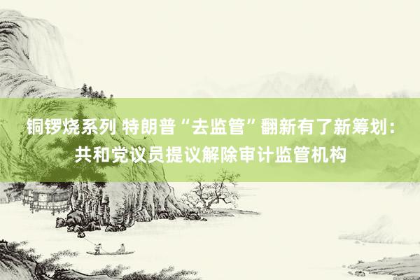 铜锣烧系列 特朗普“去监管”翻新有了新筹划：共和党议员提议解除审计监管机构