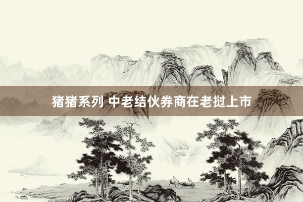 猪猪系列 中老结伙券商在老挝上市