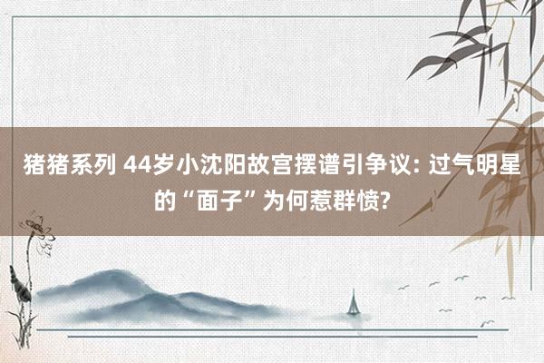 猪猪系列 44岁小沈阳故宫摆谱引争议: 过气明星的“面子”为何惹群愤?